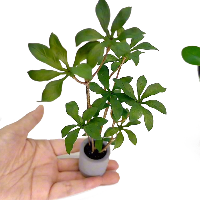 Bonsai Garden Kit - Dollhouse Miniature Modelo de Plantas em