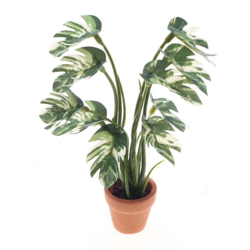 Bonsai Garden Mini - Novo. 1PC Planta Verde Monstera em
