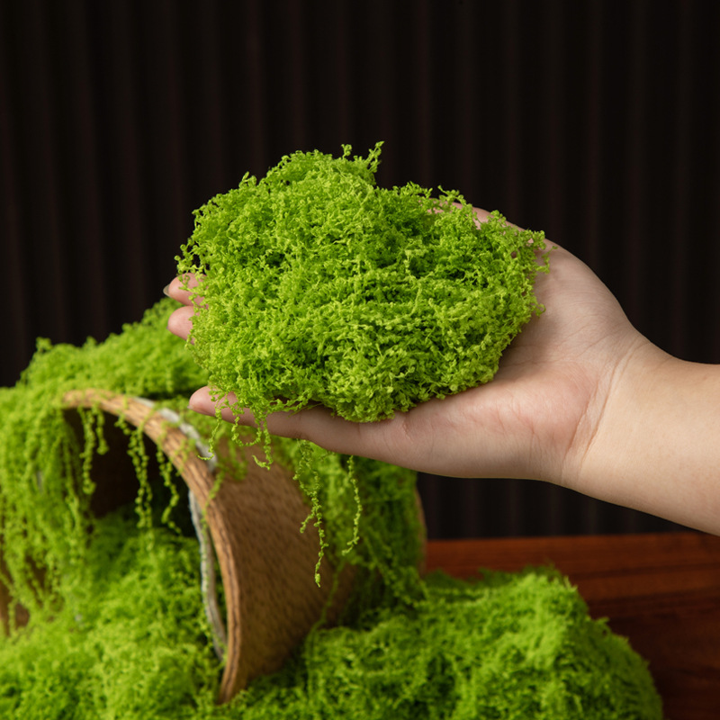 Musgo da Vida Eterna 200g para - Bonsai Garden Mini avaliação e preço