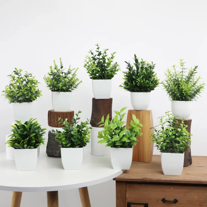Atacado OEM/ODM Mini Plantas A - Bonsai Garden Mini avaliação e preço