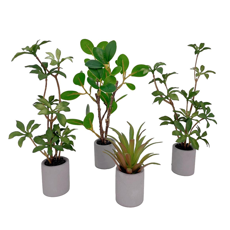 1:6 casa de bonecas em miniatu - Bonsai Garden Kit avaliação e preço