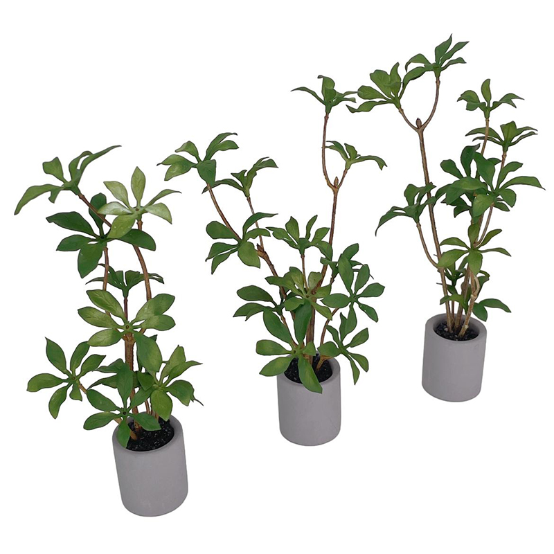 1:6 casa de bonecas em miniatu - Bonsai Garden Kit avaliação e preço