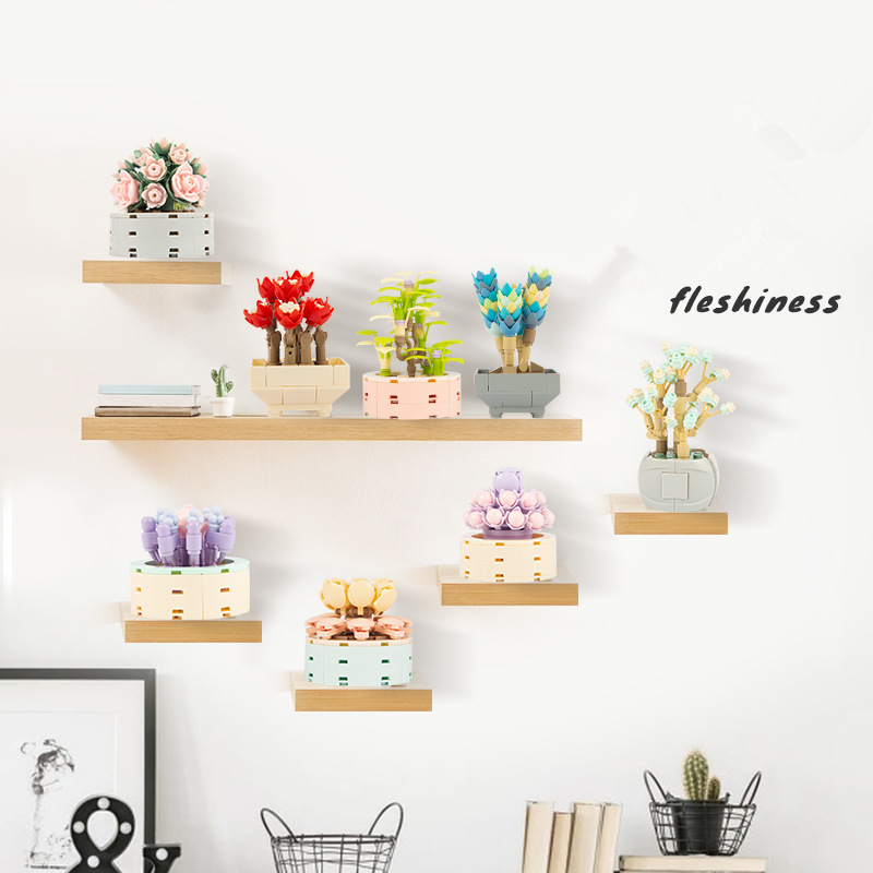 Diy moc vasos de plantas sucul - Bonsai Garden Experts avaliação e preço