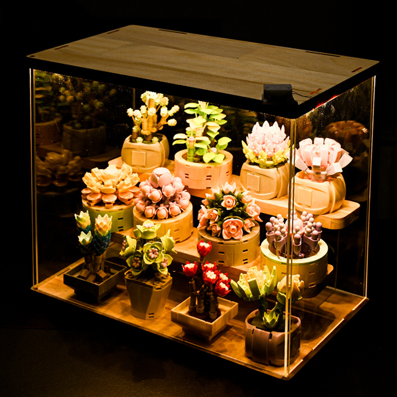Diy moc vasos de plantas sucul - Bonsai Garden Experts avaliação e preço