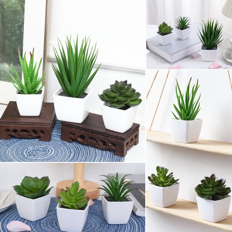 (Um conjunto de 3 peças) mini  - Bonsai Garden Mini avaliação e preço