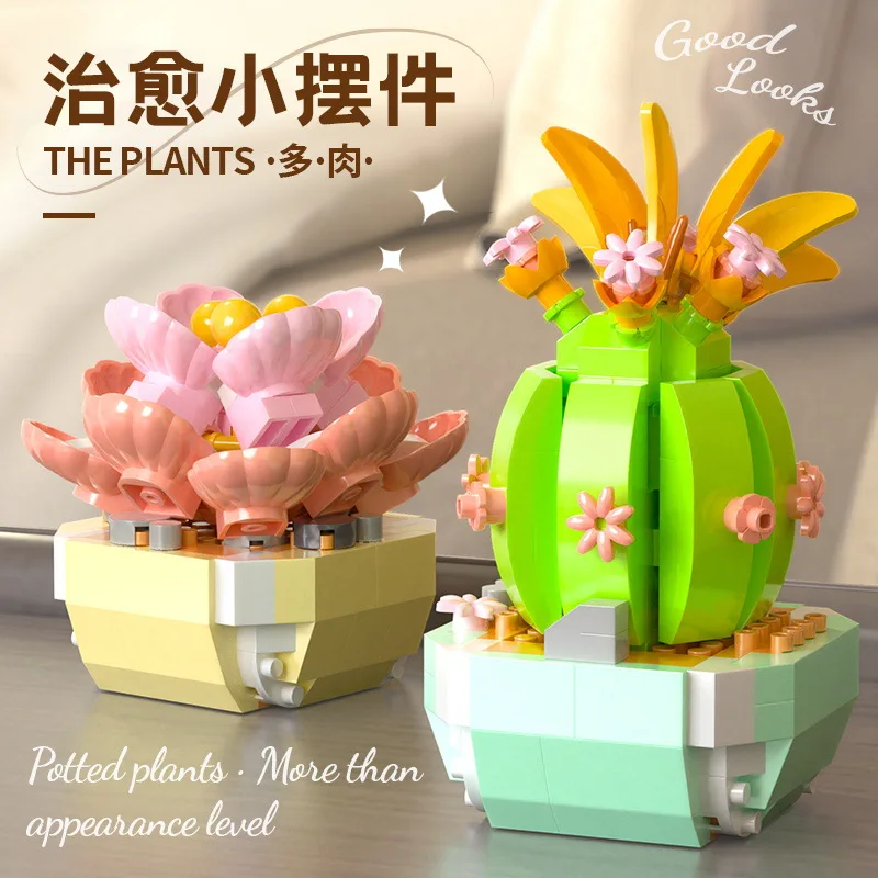 Flower Suculents Building Bloc - Bonsai Garden Kit avaliação e preço