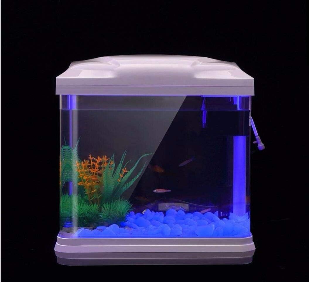 Rochas do tanque de peixes bri - Bonsai Garden Kit avaliação e preço