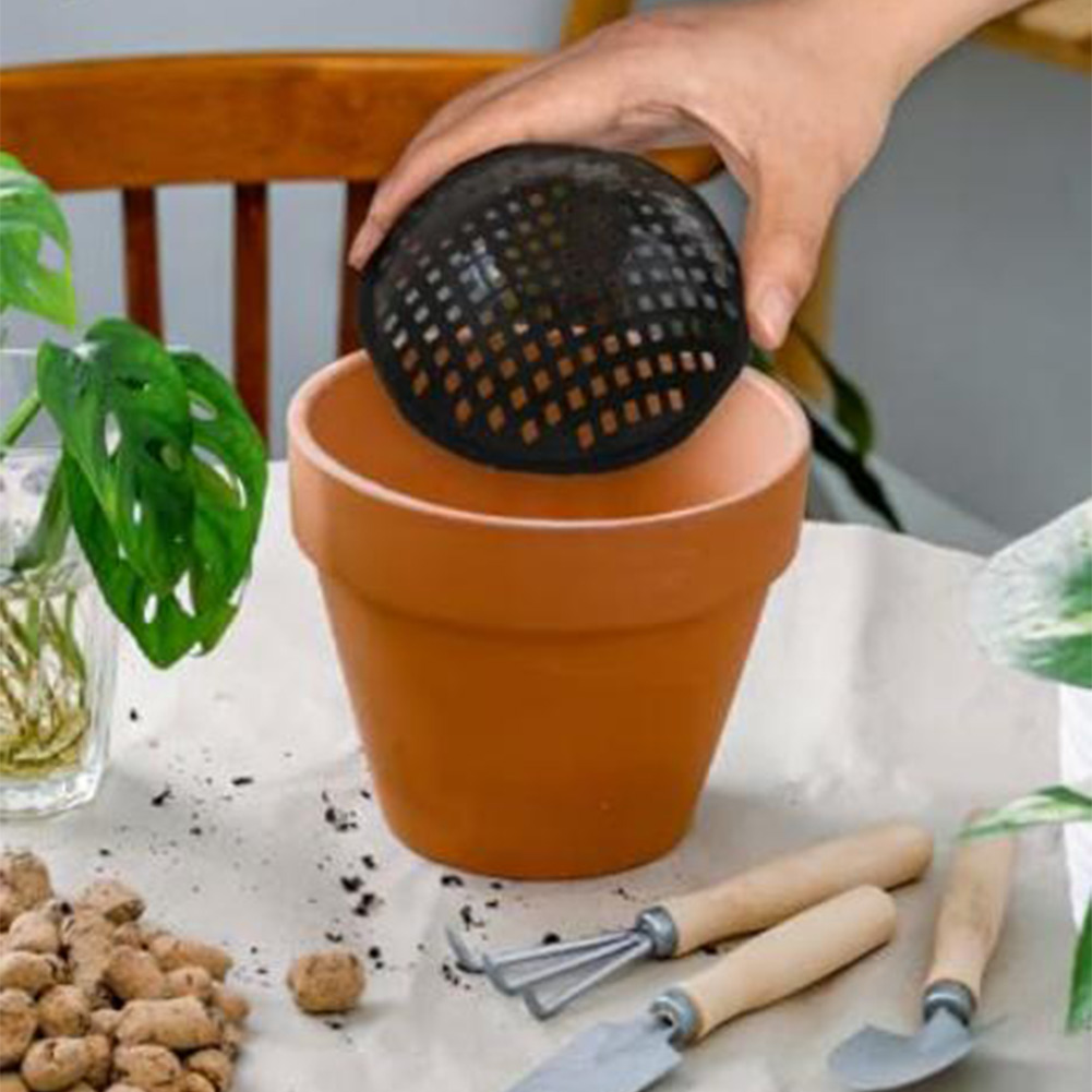 20/30 Peças de Telas de Malha  - Bonsai Garden Kit avaliação e preço
