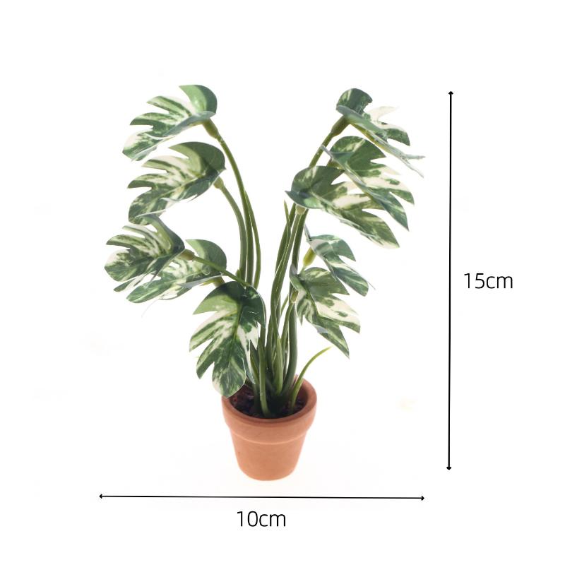 Novo. 1PC Planta Verde Monster - Bonsai Garden Mini avaliação e preço