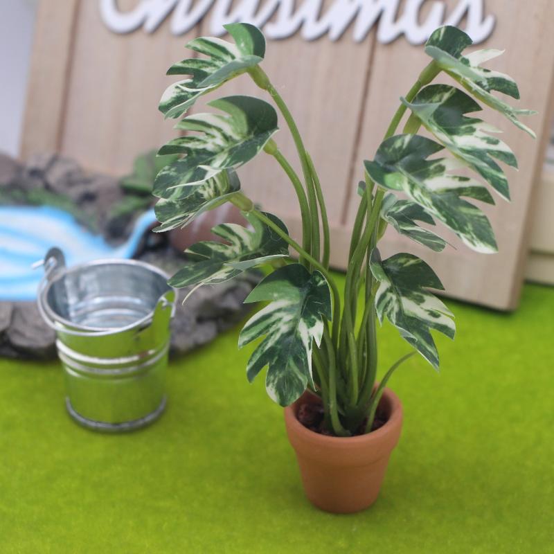 Novo. 1PC Planta Verde Monster - Bonsai Garden Mini avaliação e preço